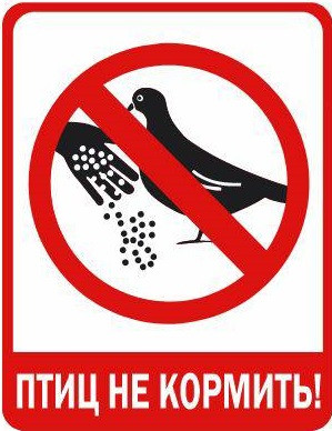 Нельзя кормить птиц на придомовой территории!