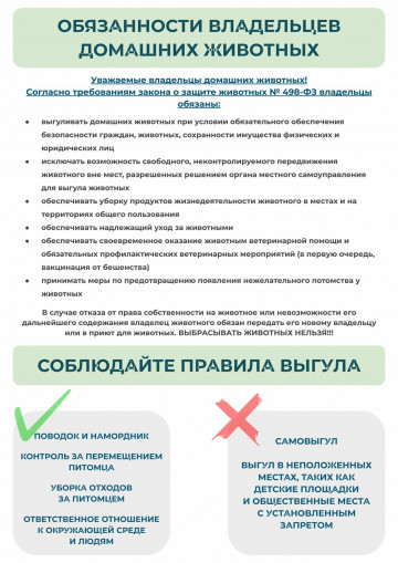 Обязанности владельцев домашних животных