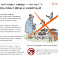 Не кормите птиц остатками пищи!