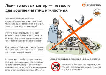 Не кормите птиц остатками пищи!