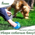 Выгулял собаку?! Убери собачью бяку!