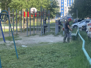 Пахнет летом и свежестью