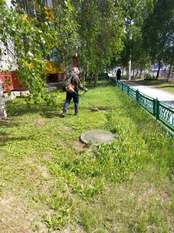 Покос травы закончен