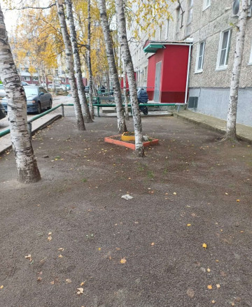 Осень - золотистые тона