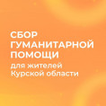 Сбор гуманитарной помощи