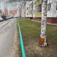 Тепло наконец-то пришло!