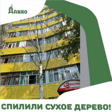 ЧЕМ ОПАСНЫ СУХИЕ ДЕРЕВЬЯ В МИКРОРАЙОНАХ